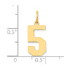 14k Medium Polished Number 5 Charm