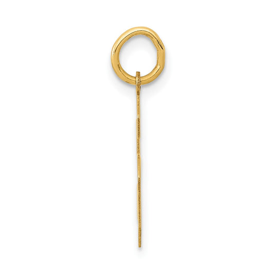 14k Medium Polished Number 6 Charm