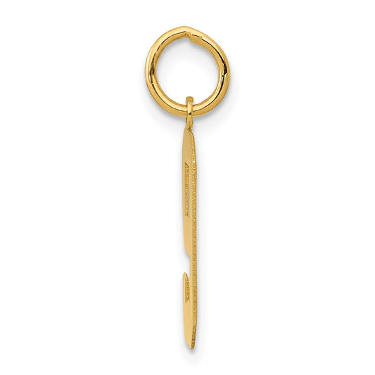 14k Medium Polished Number 9 Charm