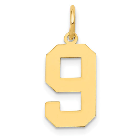 14k Medium Polished Number 9 Charm
