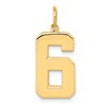 14k  Large Polished Number 6 Charm