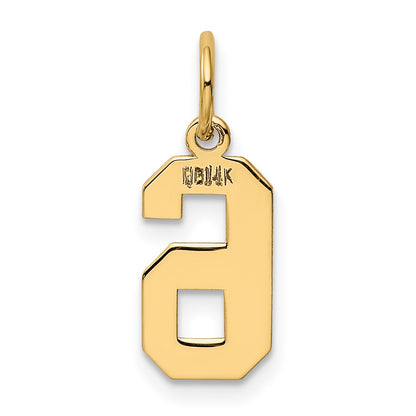 14k Small Polished Number 6 Charm