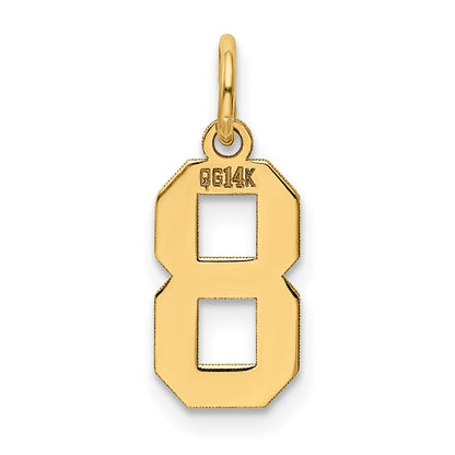 14k Small Polished Number 8 Charm