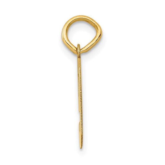 14k Small Polished Number 9 Charm