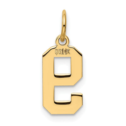 14k Small Polished Number 9 Charm