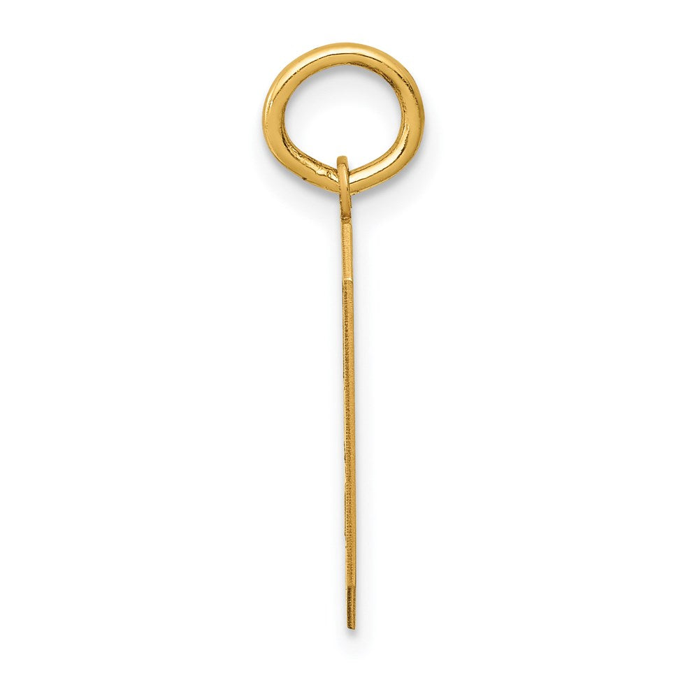 14k Medium Satin Number 9 Charm