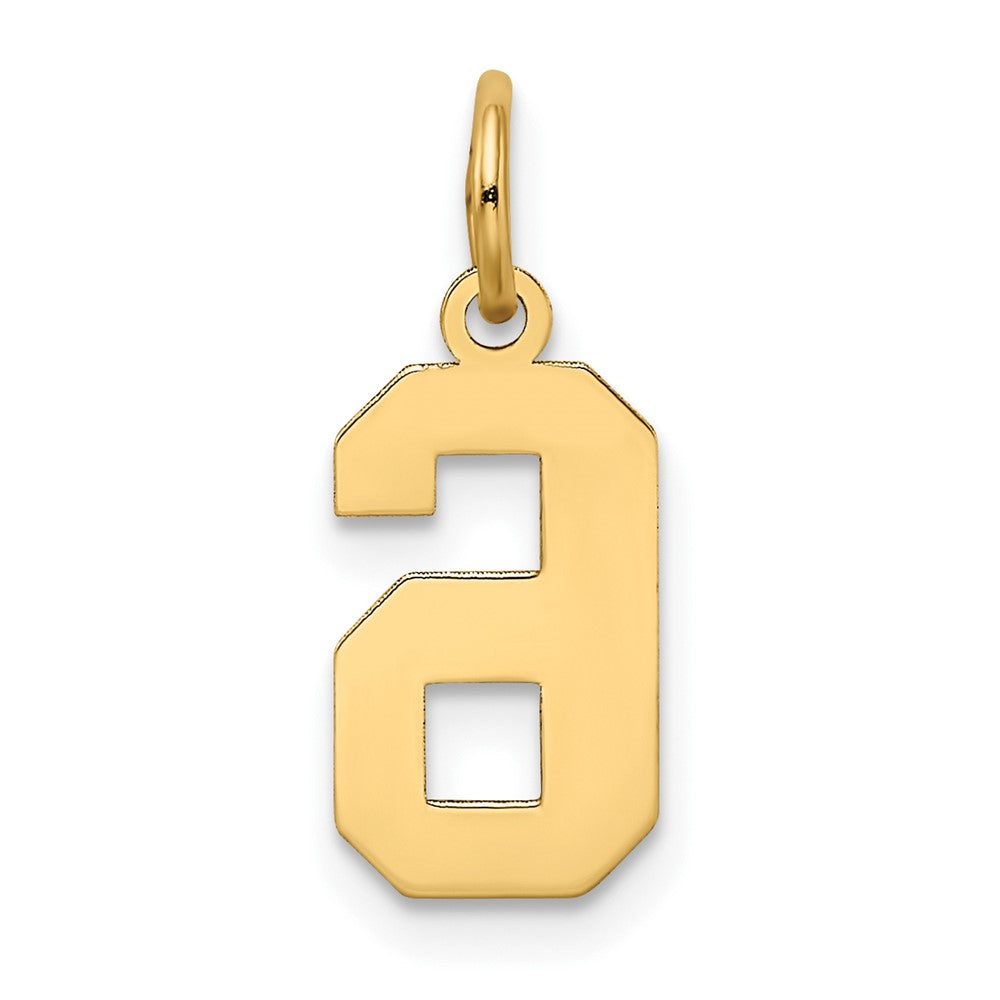14k Small Satin Number 6 Charm