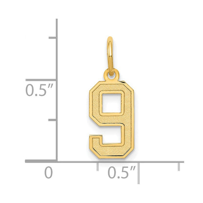 14k Small Satin Number 9 Charm