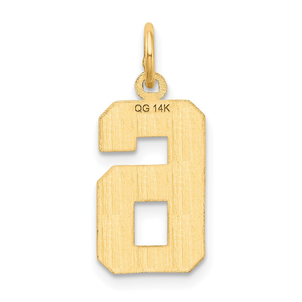 14k Medium Diamond-cut Number 6 Charm