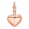 Sterling Silver Rose Gold-plated Polished Screw Top Ash Holder Pendant