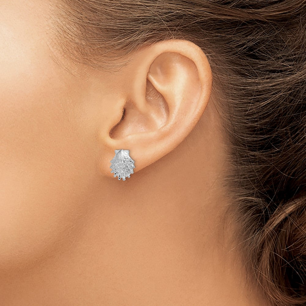 De-Ani Sterling Silver Rhodium-Plated Polished Lions Paw Shell Post Earrings