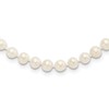 Sterling Silver Rhodium-plated 5-6mm White Near-Round Freshwater Cultured Pearl 18 inch Necklace