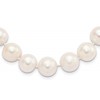 Sterling Silver Rhodium-plated 11-12mm White Near-Round Freshwater Cultured Pearl 24 inch Necklace