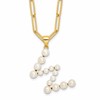 Sterling Silver Gold-plated 3-5.5mm White Button Freshwater Cultured Pearl LETTER W 18 inch Necklace
