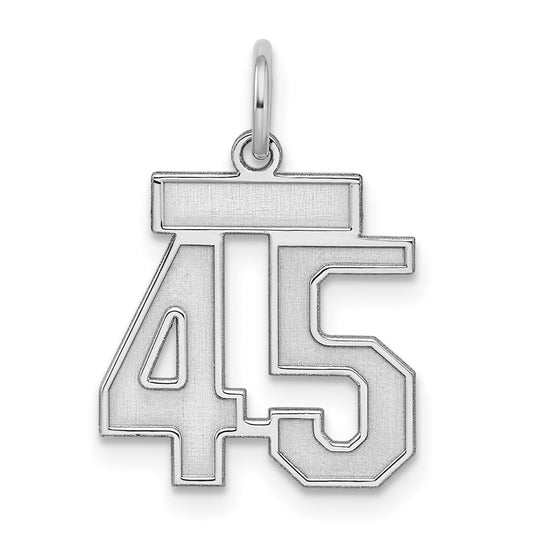 QPS45.JPG           