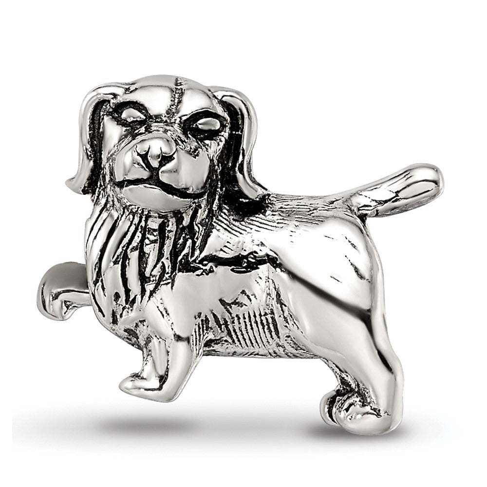 Sterling Silver Reflections Golden Retriever Bead