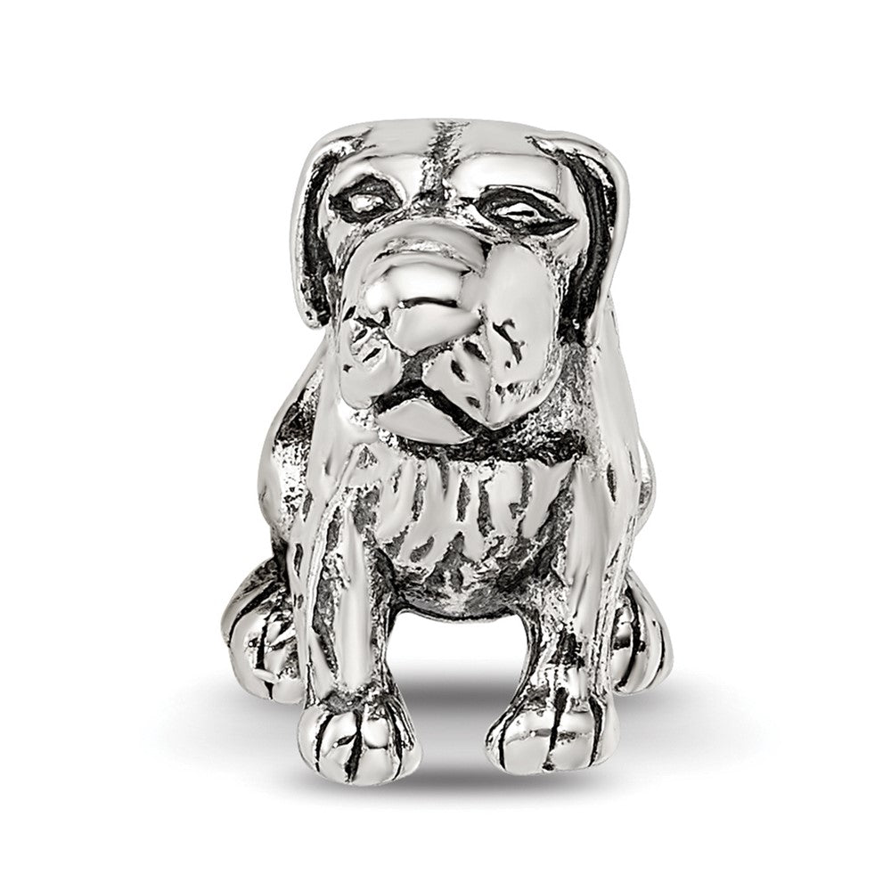 Sterling Silver Reflections German Shorthaired Pointer Bead