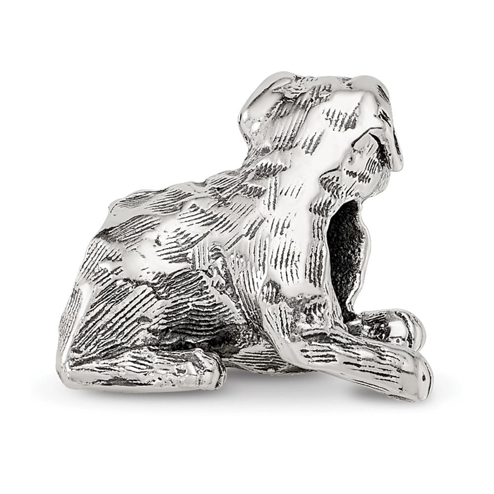 Sterling Silver Reflections Rottweiler Bead
