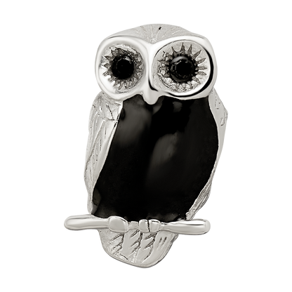Sterling Silver Reflections Enameled Wise Owl Bead