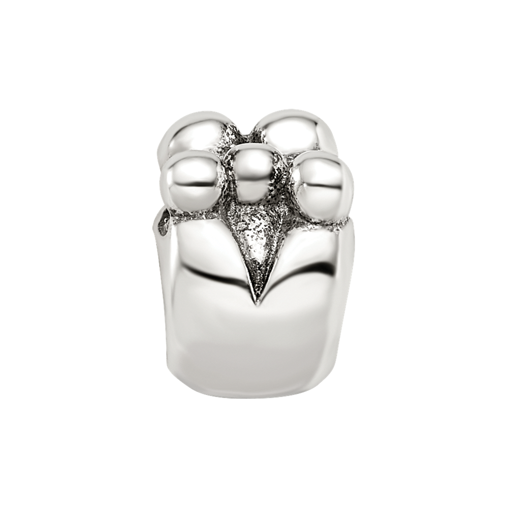 Sterling Silver Reflections Family of 5 Bead