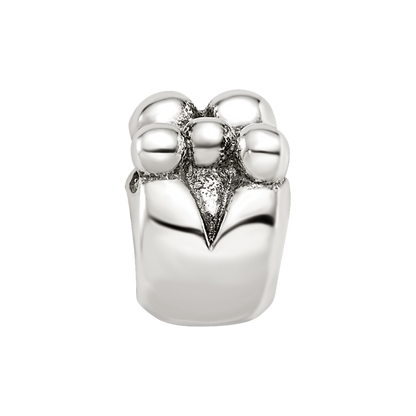 Sterling Silver Reflections Family of 5 Bead