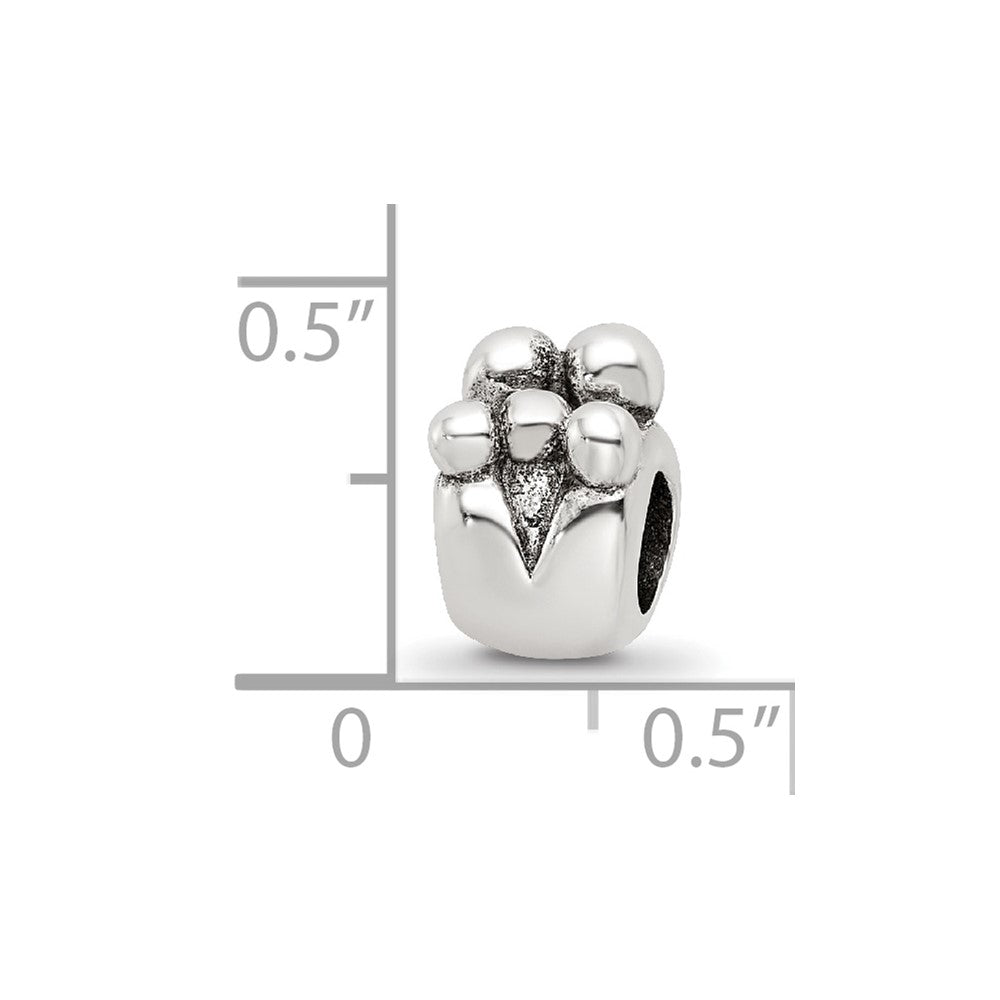 Sterling Silver Reflections Family of 5 Bead