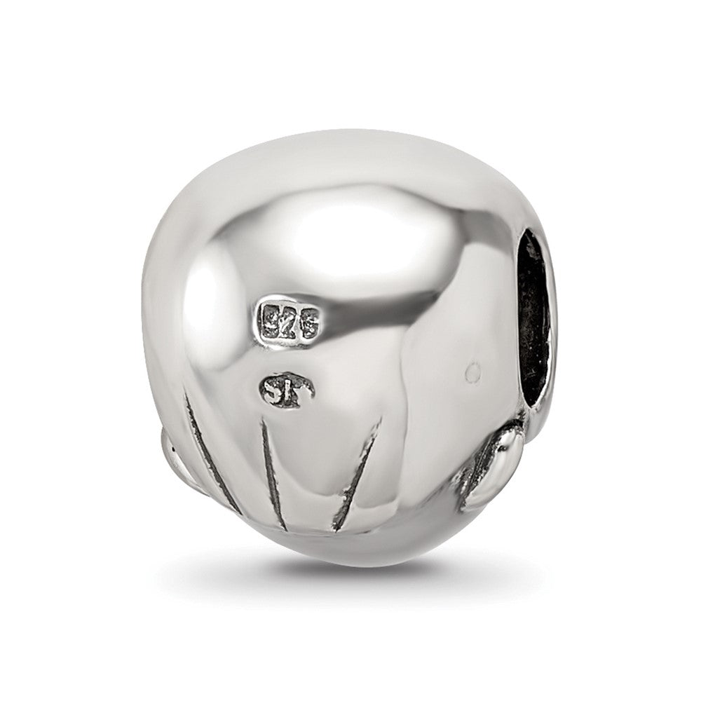 Sterling Silver Reflections Little Boy's Head Bead