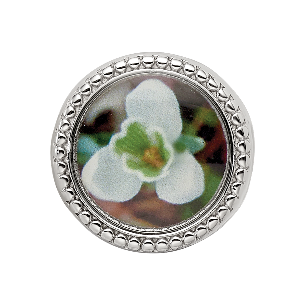 Sterling Silver Reflections Rhodium-plated January Flower Bead