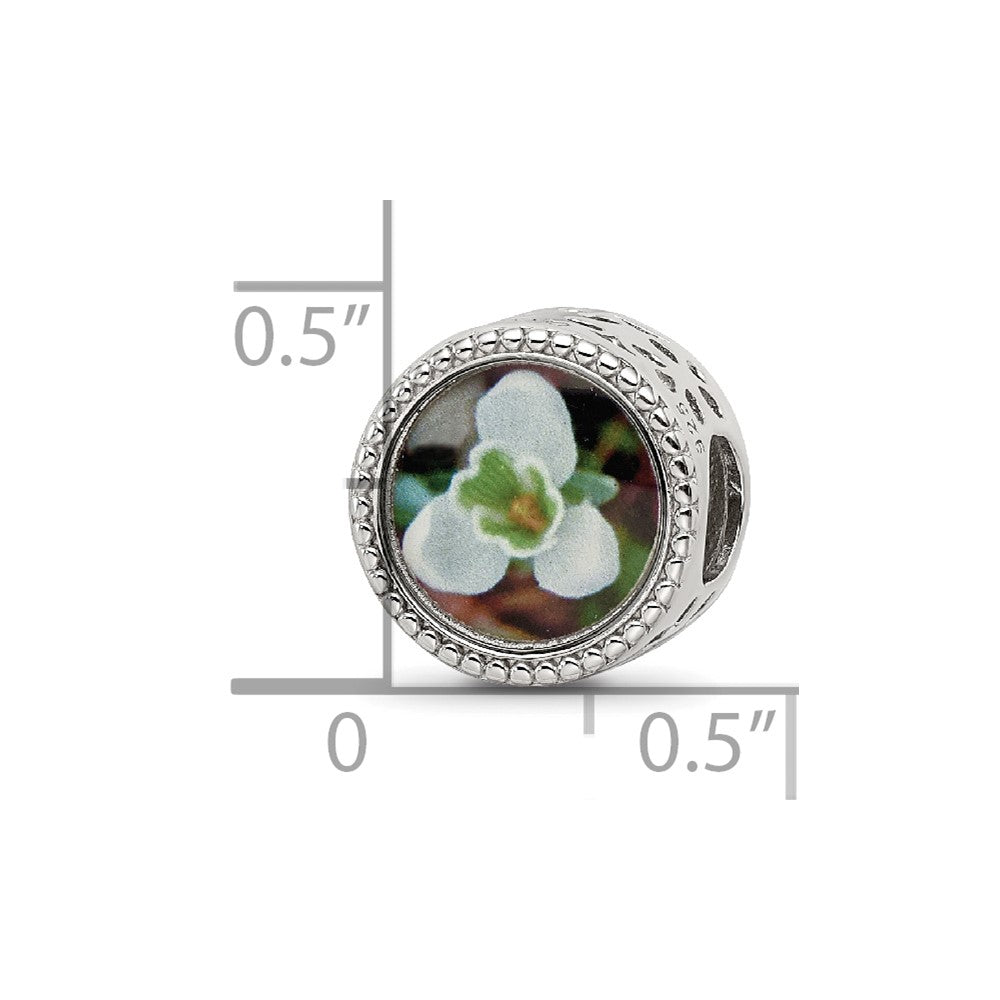 Sterling Silver Reflections Rhodium-plated January Flower Bead