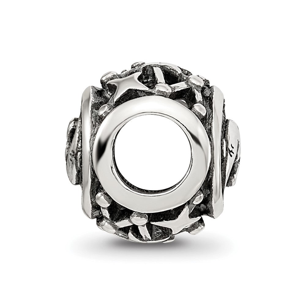 Sterling Silver Reflections Antiqued Zodiac Pisces Bead