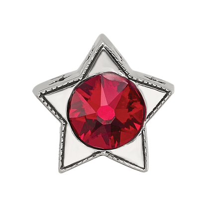 Sterling Silver Reflections Preciosa Crystal Jan. Birthstone Star Bead