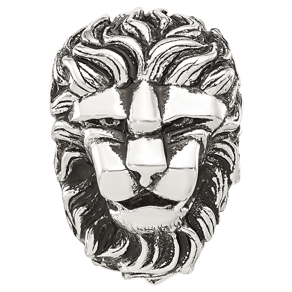 Sterling Silver Reflections Antiqued Lion Hinged Bead