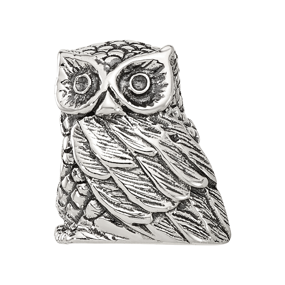 Sterling Silver Reflections Polished Owl Bead