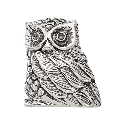 Sterling Silver Reflections Polished Owl Bead