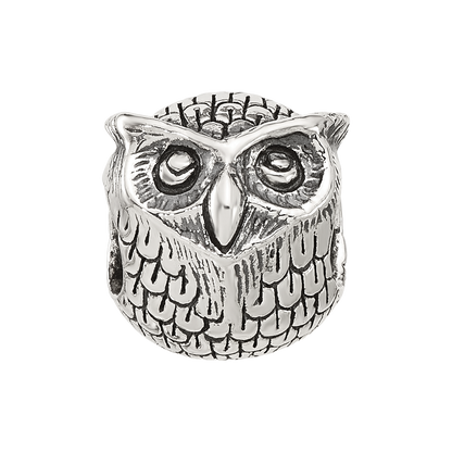Sterling Silver Reflections Antiqued Owl Bead