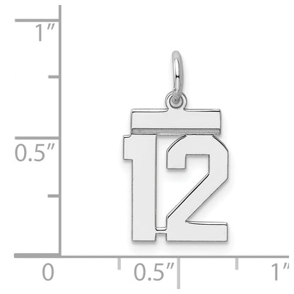 Sterling Silver/Rhodium-plated Polished Number 12 Charm
