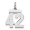 Sterling Silver/Rhodium-plated Polished Number 42 Charm