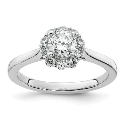 Halo Rings;