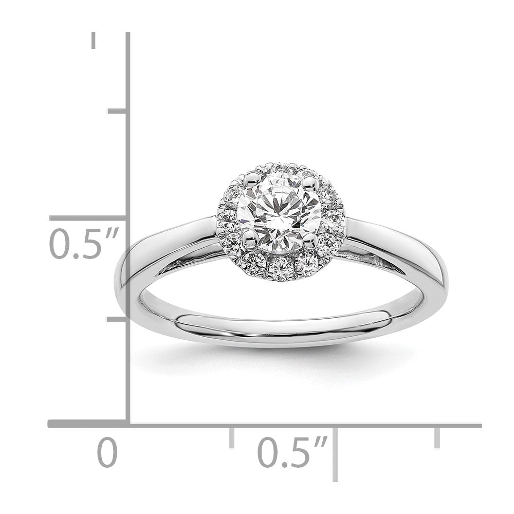 14k White Gold 1/2 carat Lab Grown Diamond VS/SI+ G+ Round Complete Halo Engagement Ring