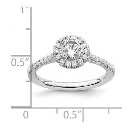 14k White Gold 3/4 carat Lab Grown Diamond VS/SI+ G+ Round Complete Size 9 Halo Engagement Ring