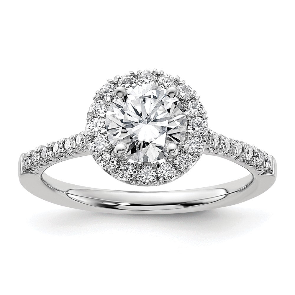 Halo Rings;