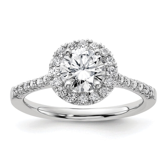 Halo Rings;