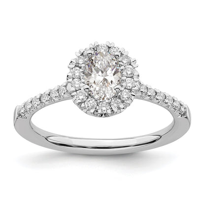 Halo Rings;