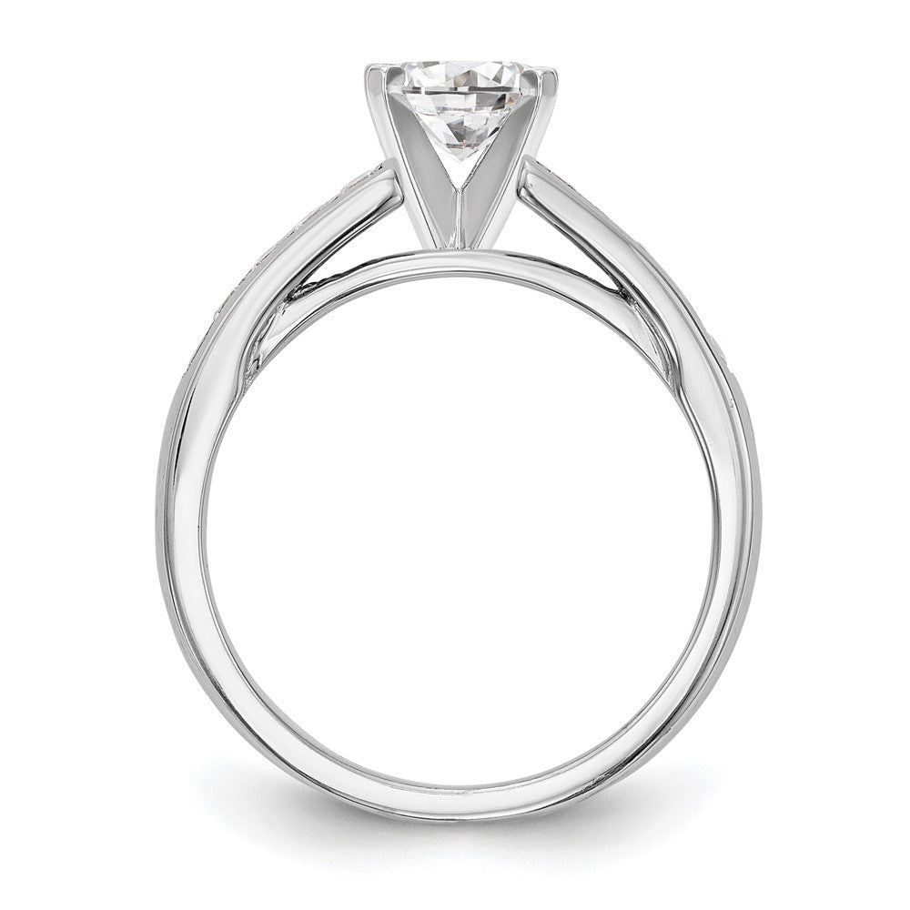 14k White Gold 1/5 carat Lab Grown Diamond VS/SI+ G+ Semi-Mount Pet Set Engagement Ring