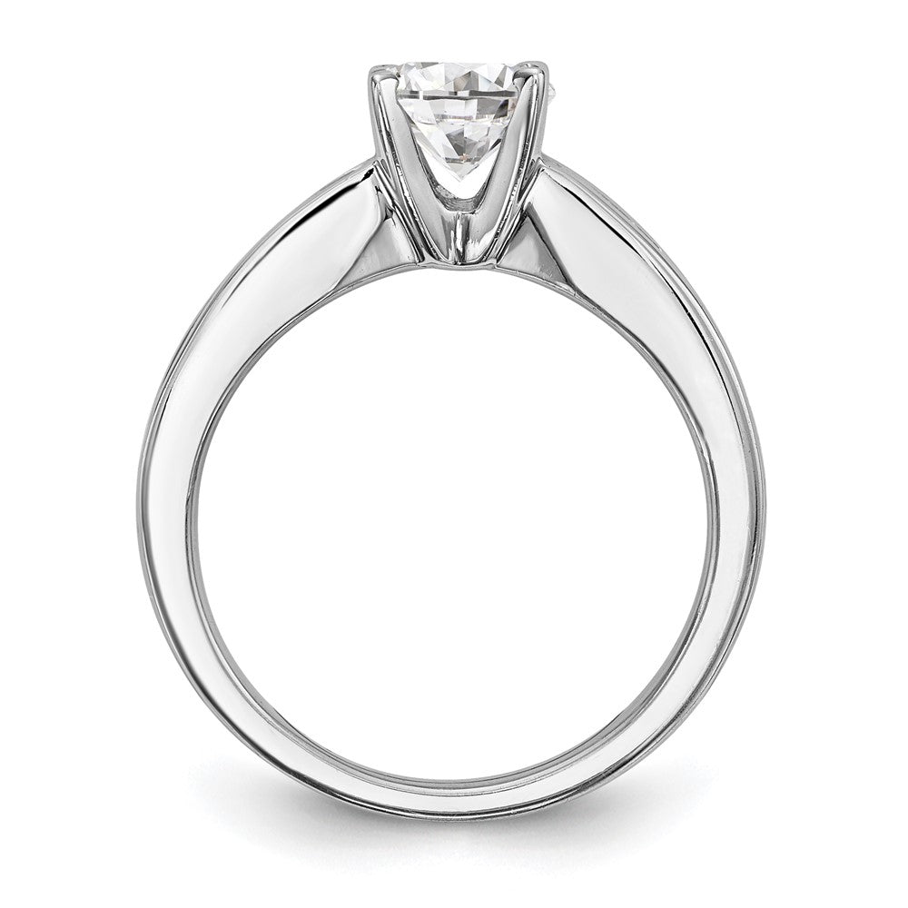 14K White Gold (Holds 1 carat (6.5mm) Round Center) 1 carat Channel-set Princess Diamond Semi-Mount Engagement Ring