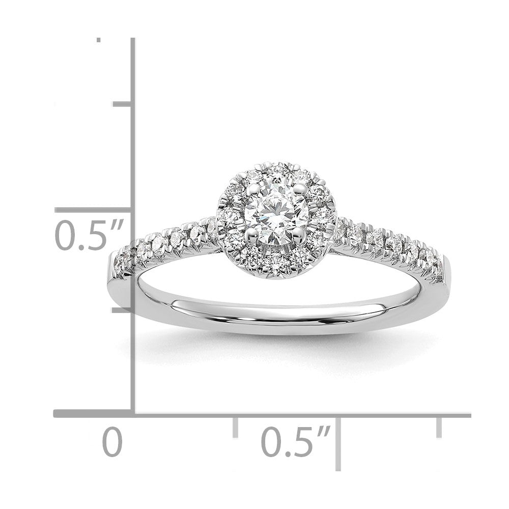 14k White Gold 1/2 carat Lab Grown Diamond VS/SI+ G+ Round Complete Halo Engagement Ring