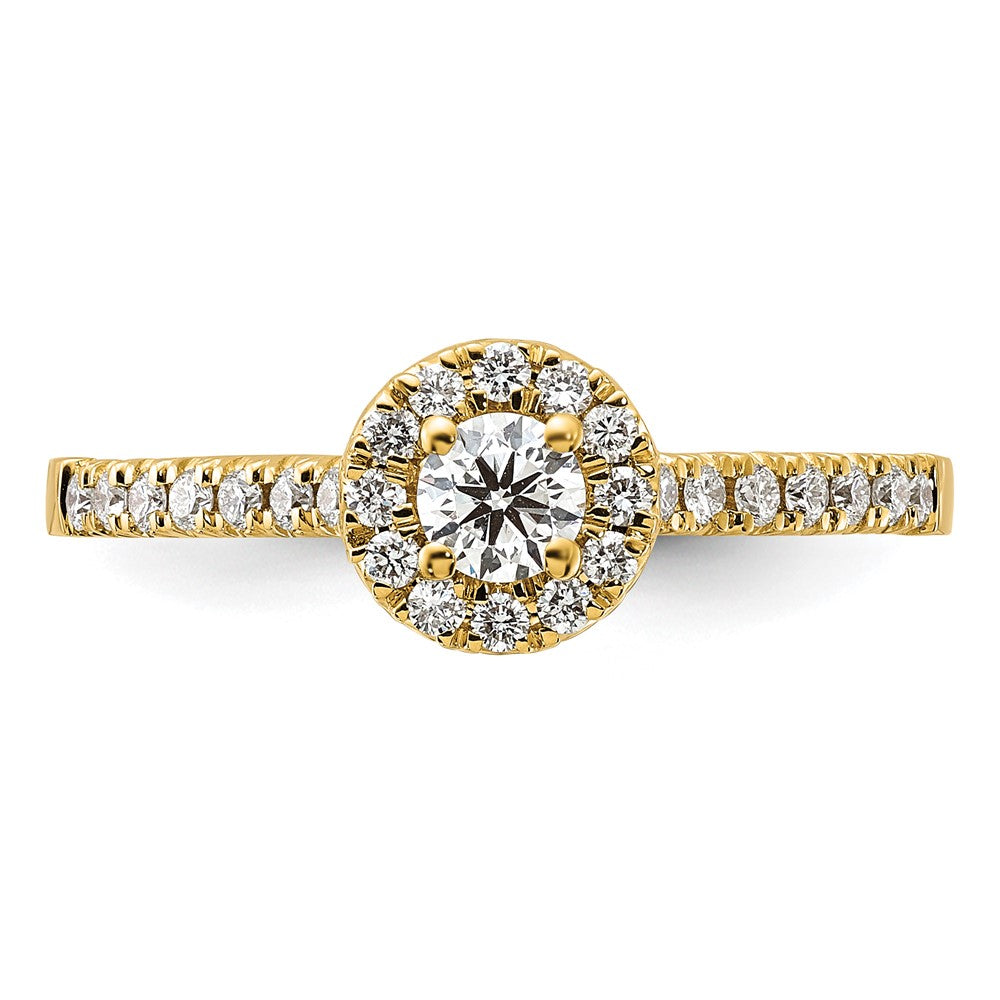 14k 1/2 carat Lab Grown Diamond VS/SI+ G+ Round Complete Halo Engagement Ring