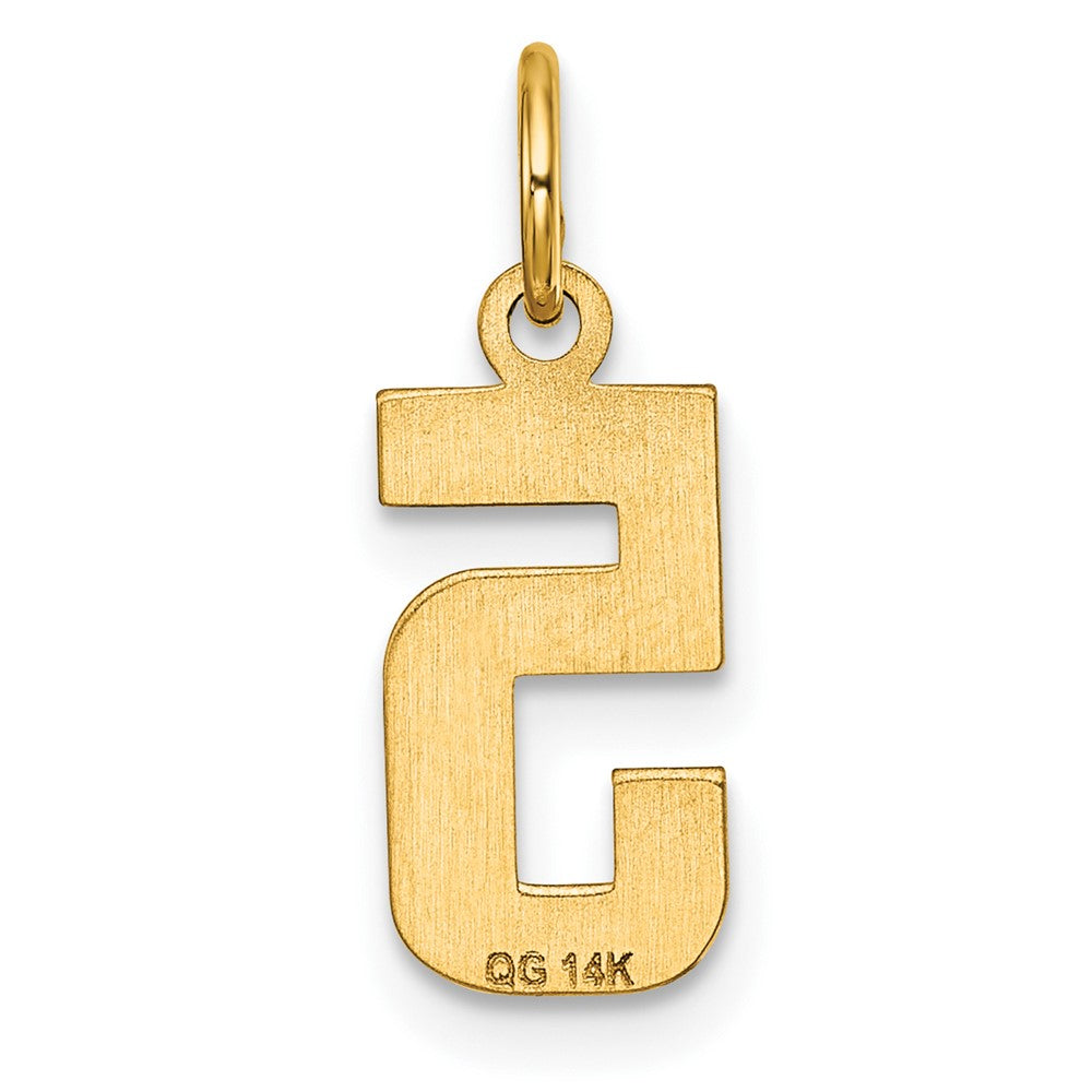 14k Small Brushed Diamond-cut Number 5 Charm