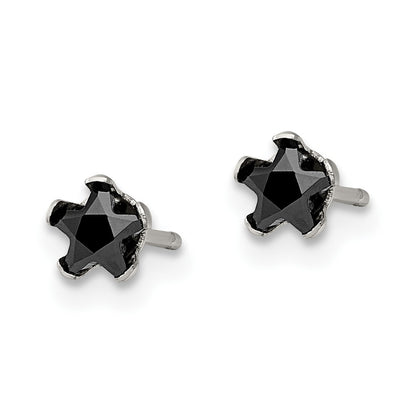 Chisel Stainless Steel Polished 4mm Black Star CZ Stud Post Earrings