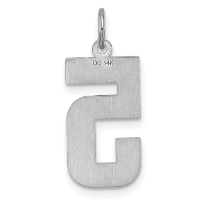 14kw Large Brushed Diamond-cut  Number 5 Charm
